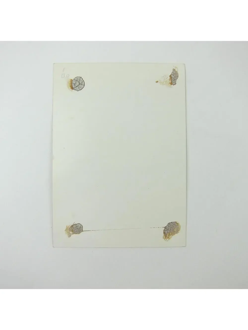 Victorian Birthday Greeting Card Farmer Plow Horses White Flower Blossom Antique